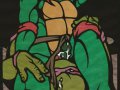 toon_1239936871639_206724_-_Donatello_Raphael_Teenage_Mutant_Hero_Turtles_T_M_N_T.jpg